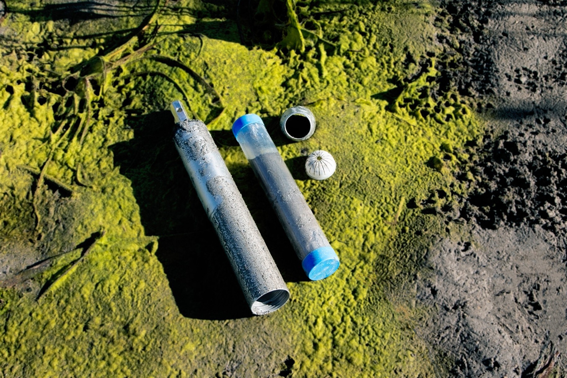 Small silver and blue tubes filled with soil samples, their caps off, on top of green mossy and brown earth. 