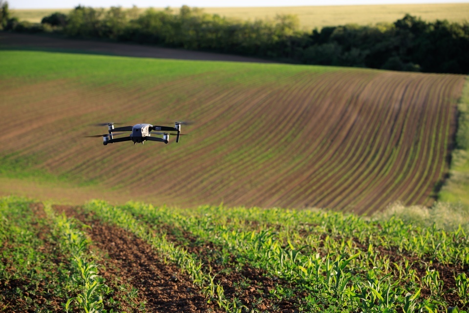 A drone flies over a sunny agricultural field with curved land and young plants sprouting from the soil.