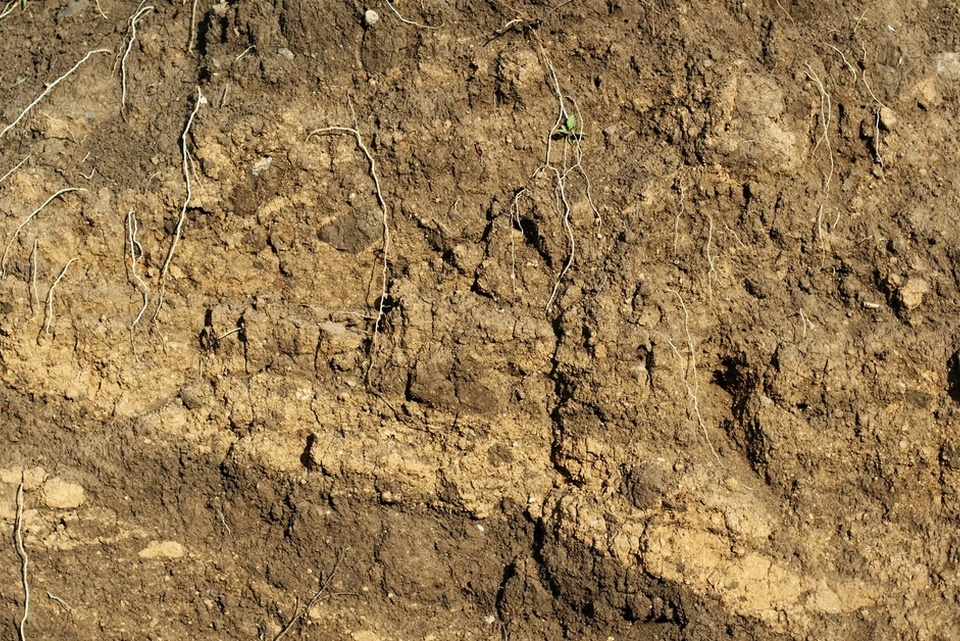 A cross section shows layers of soil and rock with varying colors and textures arranged from topsoil to bedrock.