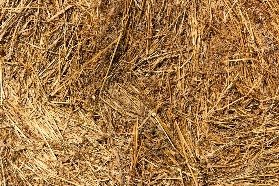 A close-up of straw compacted into a neat hay bale. One section of the bale appears darker than the rest.