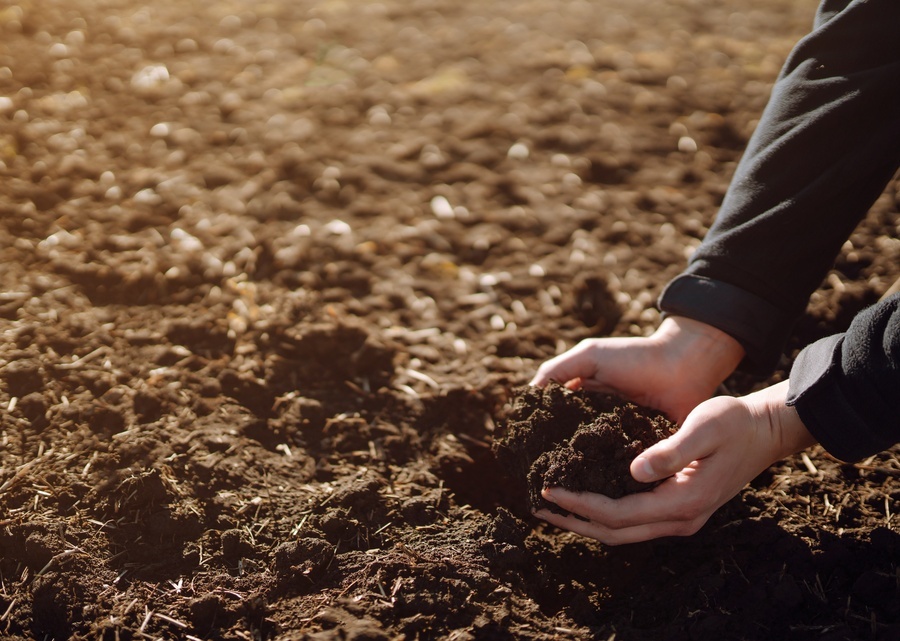 A pair of hands scoops up soil containing mixed organic material as warm light filters in from the corner.