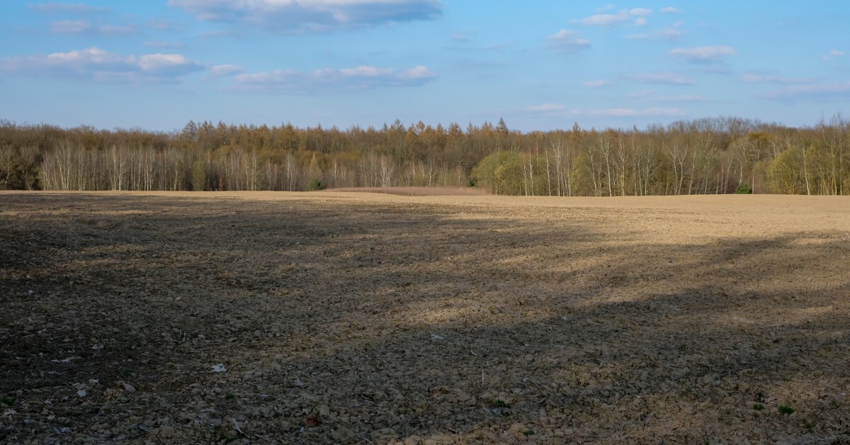 Dry, clumpy soil stretches across a cultivated field bordered by trees, with a blue sky and scattered clouds above.