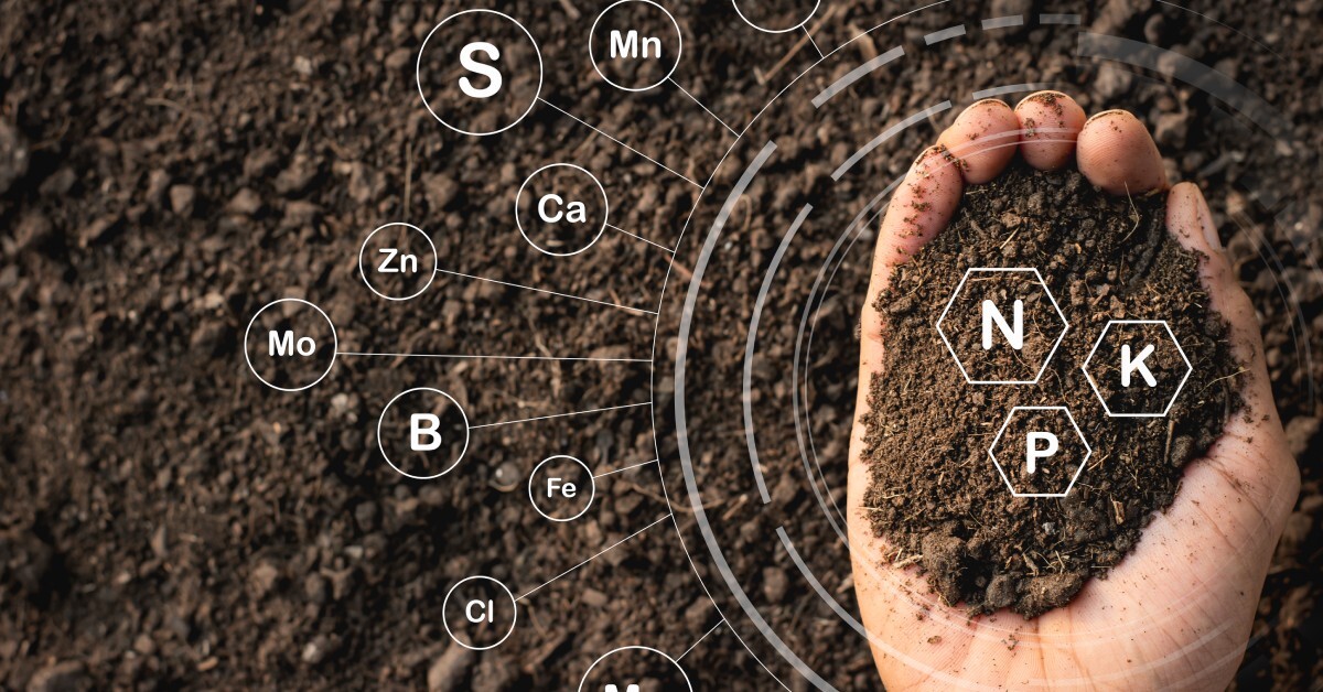 A bare hand holds a scoop of soil with white elemental symbols for potassium, nitrogen, and phosphorus overlaid.