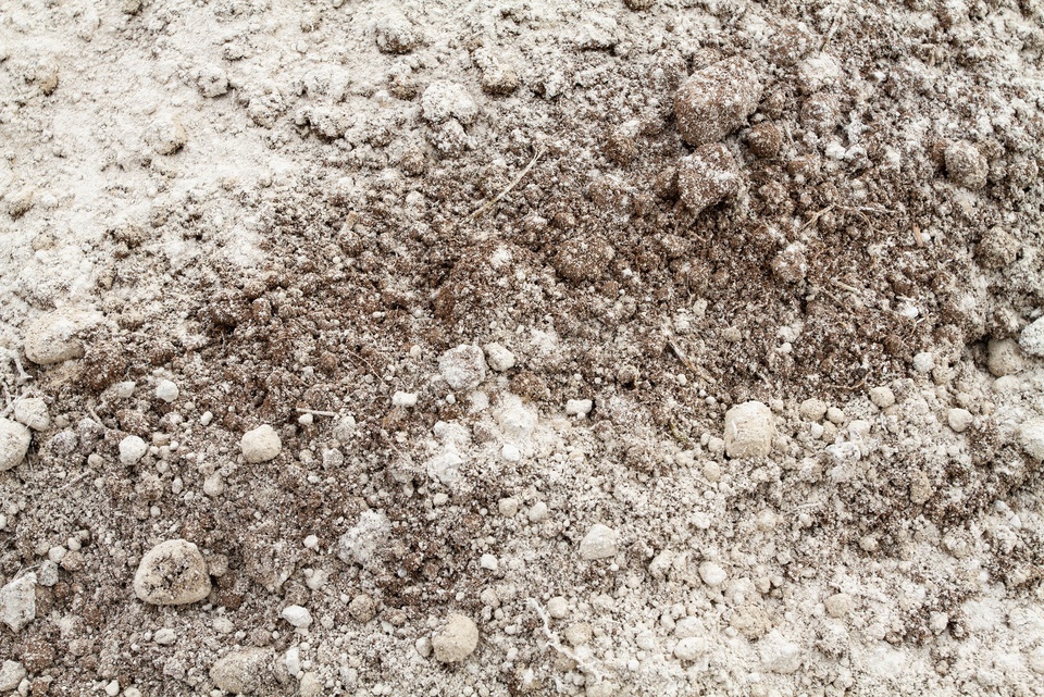 A close-up view of brown soil mixed with light gray powder shows multiple clumps and patches with a rough, uneven texture.
