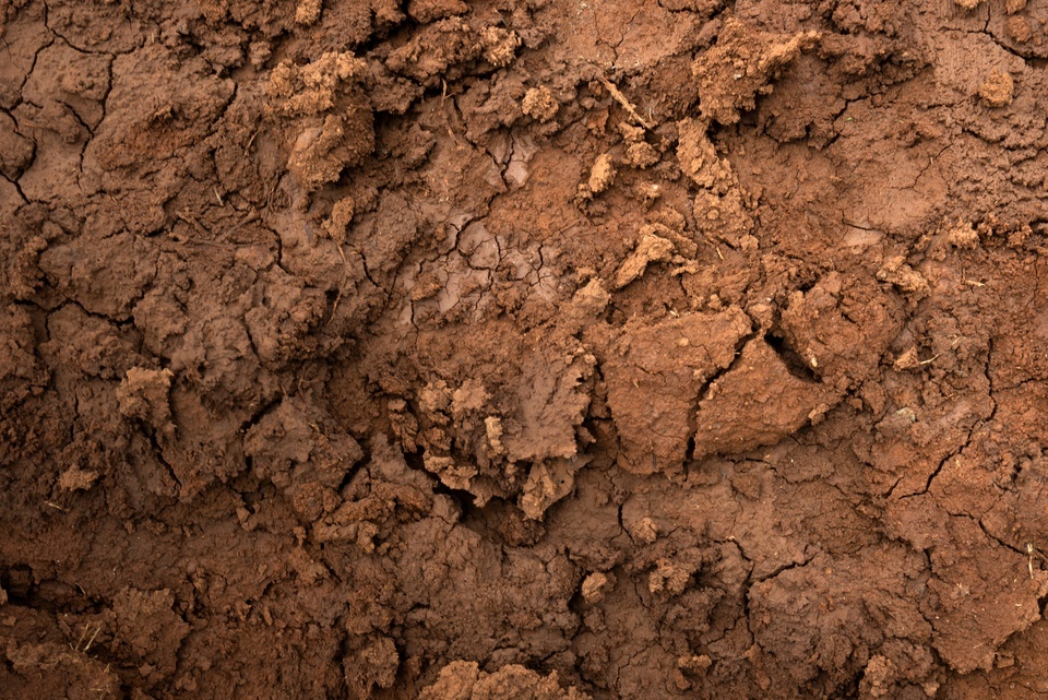 A close-up of dry, cracked soil with deep fissures and clumps in shades of brown shows a parched, textured surface.