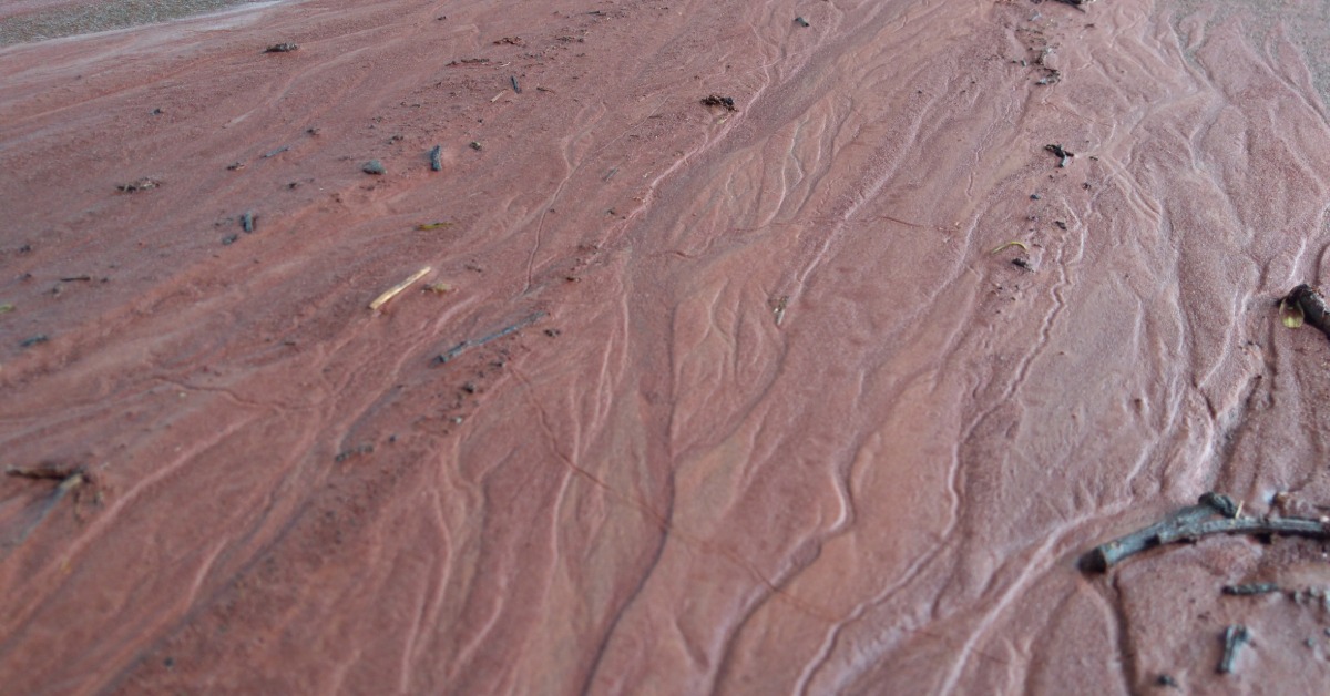 Fine silt and mud show wavy flow patterns across an exposed sediment surface with visible texture and debris.