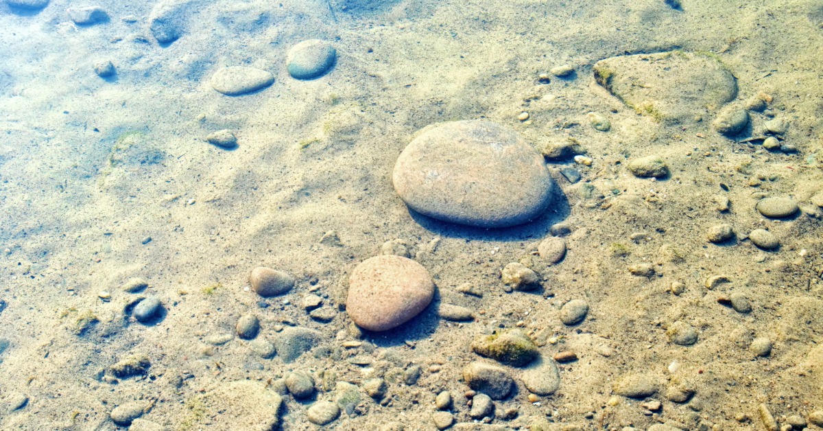 Bright sunlight illuminates rippled patterns of fine light brown sand covering a shallow river bottom.