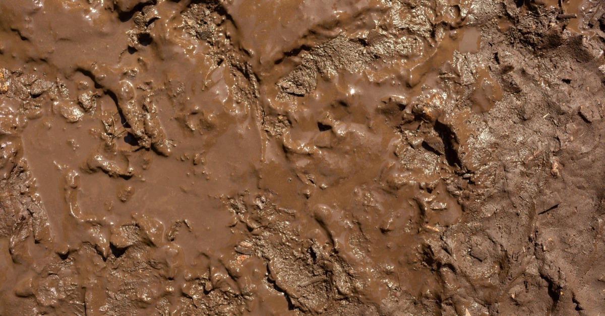 Sticky brown clay soil glistens with moisture, forming clumpy ridges and deep impressions across the wet surface.