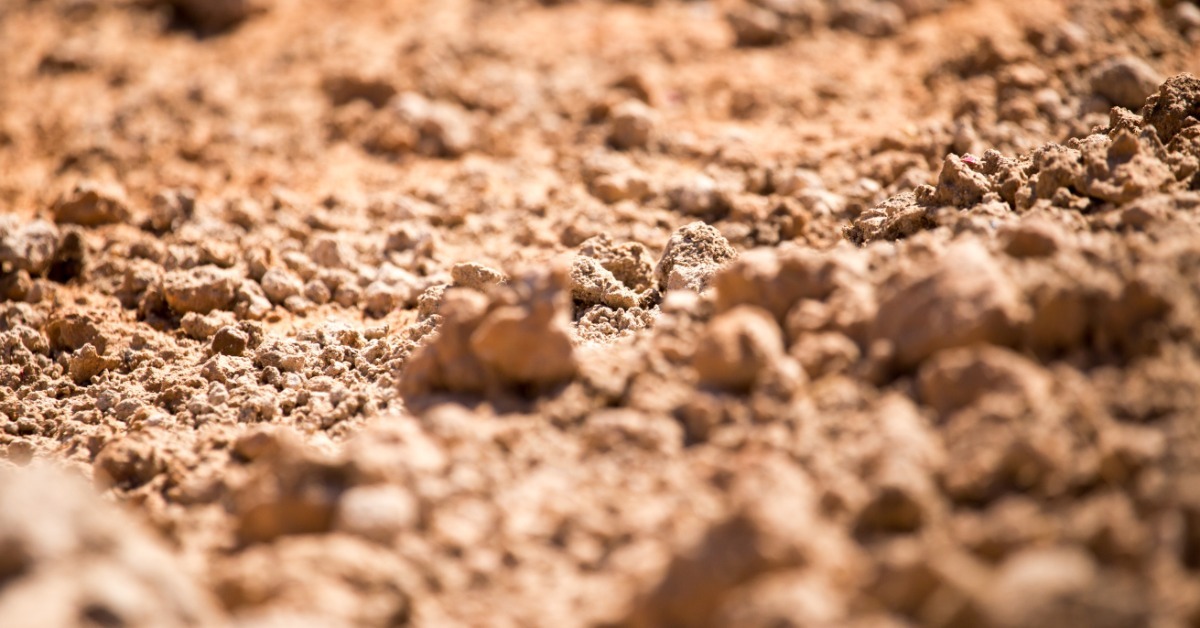 A cutaway soil wall reveals various layers of red clay, pale sand, gravel, and a thin grass surface above.